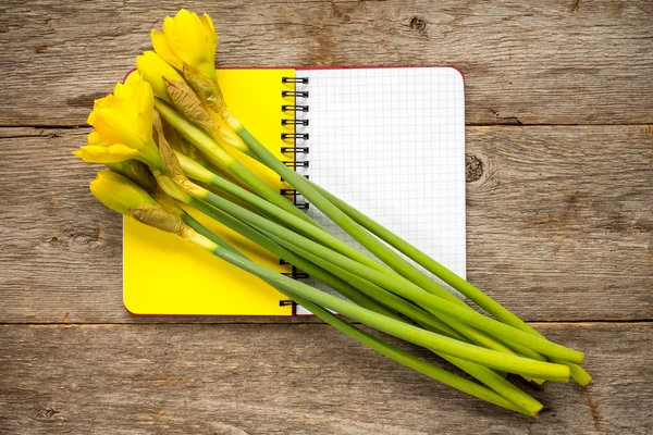 Нарцисс Цветы и спираль ноутбук. — стоковое фото