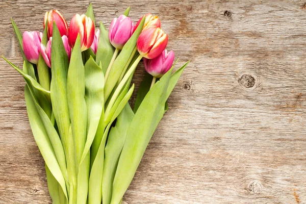 Квіти тюльпанів з простором копіювання — стокове фото