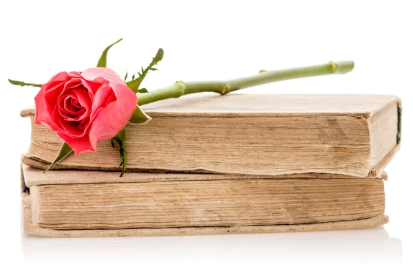 Two old books with rose,isolated — Stock Photo, Image