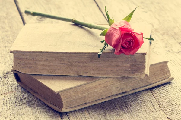 Two old books with rose. — Stock Photo, Image