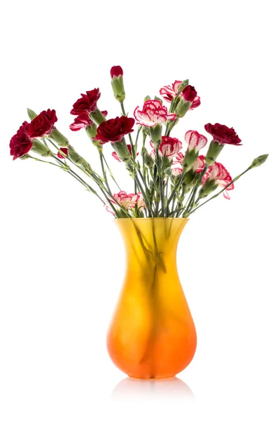 Oeillet bouquet dans un vase — Photo