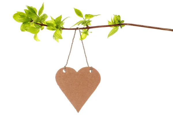 Tree branch with heart shaped tag — Stock Photo, Image
