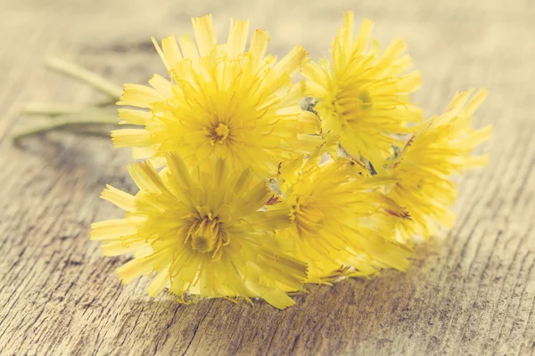 Flores de verano sobre fondo de madera — Foto de Stock