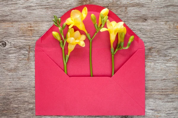 Жовті квіти фезії в червоному конверті — стокове фото
