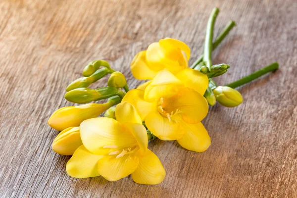 Freesia flowers on wooden background. — Stock Photo, Image