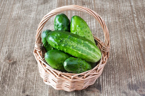 Wicker basket of fresh cucumbers — Stock Photo, Image