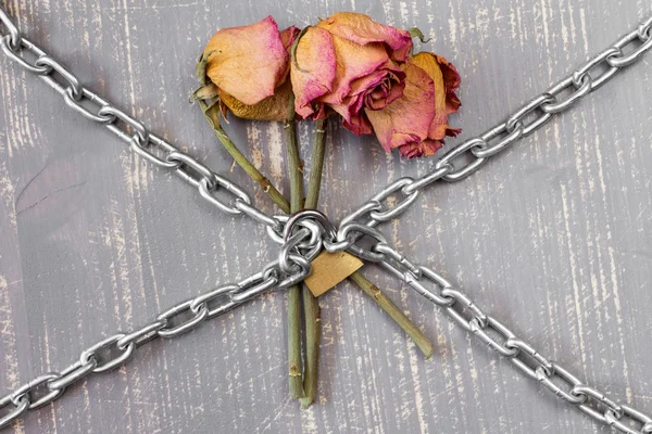 三个连锁的玫瑰 — 图库照片
