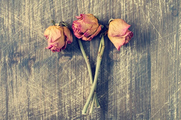 3 つの乾燥したバラ. — ストック写真