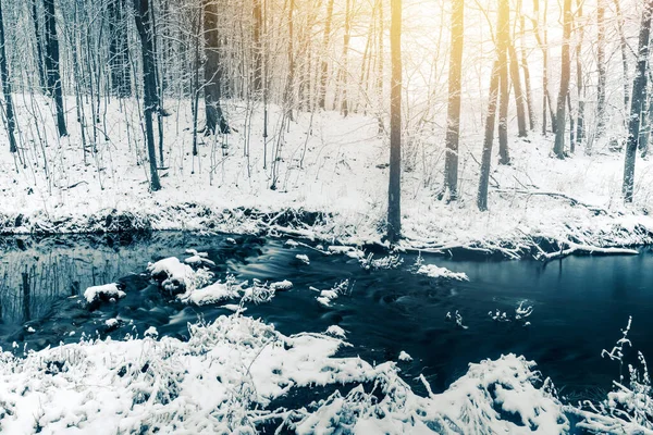 Invierno Bosque Nieve Vista Río Los Árboles Del Bosque Están —  Fotos de Stock