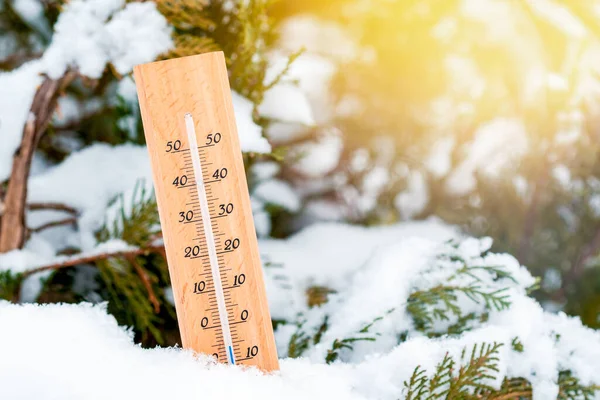 Termometro Bassa Temperatura Nei Boschi Innevati Tempo Freddo Nei Boschi — Foto Stock