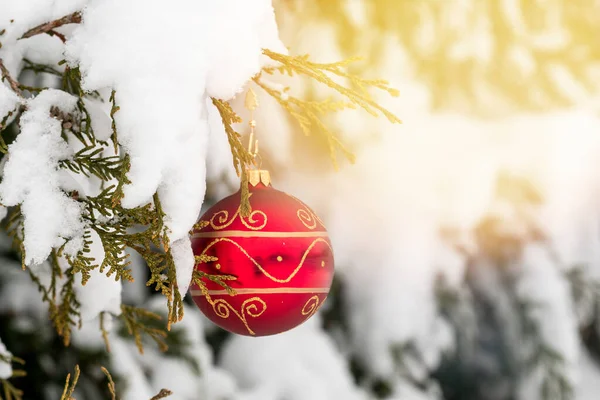 Bola Navidad Una Rama Árbol Cubierta Nieve Vacaciones Invierno Fondo —  Fotos de Stock