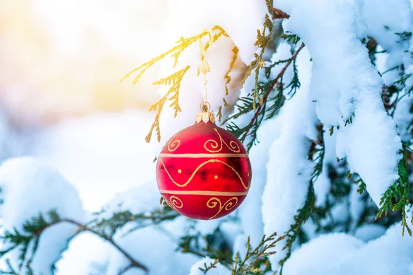 Fond Art Noël Hiver Épinette Verte Avec Boule Rouge Noël — Photo