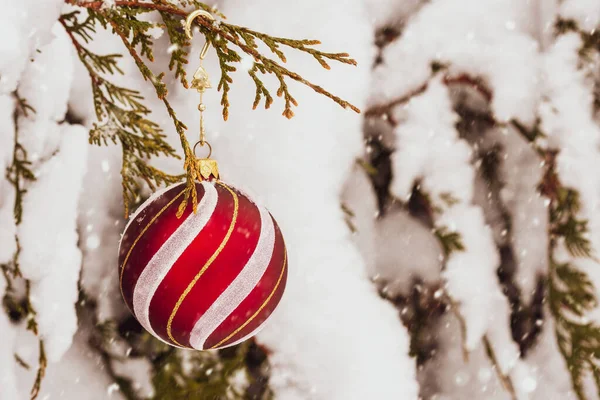 Winter Christmas Art Background Green Spruce Christmas Red Ball White — Stock Photo, Image