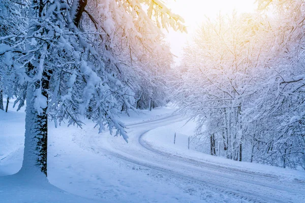 Gebogene Verschneite Straße Einem Schneebedeckten Wald — Stockfoto