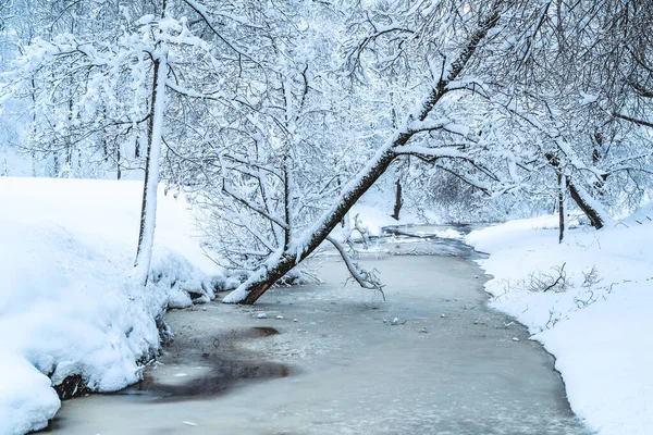 Zimowy Widok Las Śnieżny Rzeki Zimowy Las Krajobraz Rzeki Snowy — Zdjęcie stockowe