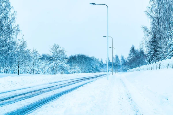 在寒冷的冬日里 城市空旷的街道上下着雪 道路两旁的电线杆 — 图库照片