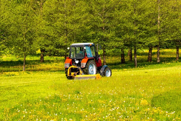 Tractor mowing lawn in the city park. Rear view.