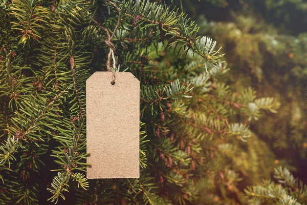 圣诞树上挂着空的价格标签 复制空间 — 图库照片