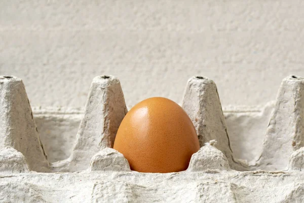 One Brown Egg Cardboard Egg Carton Close View — Stockfoto