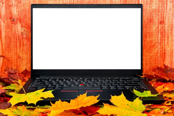 Notebook Autumn Leafs Table Blank Screen Copy Space — Stock Photo, Image