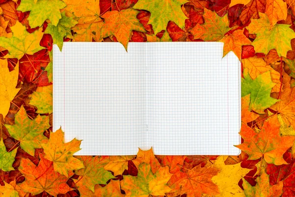 中央にスクールノートが開いている秋の葉 — ストック写真
