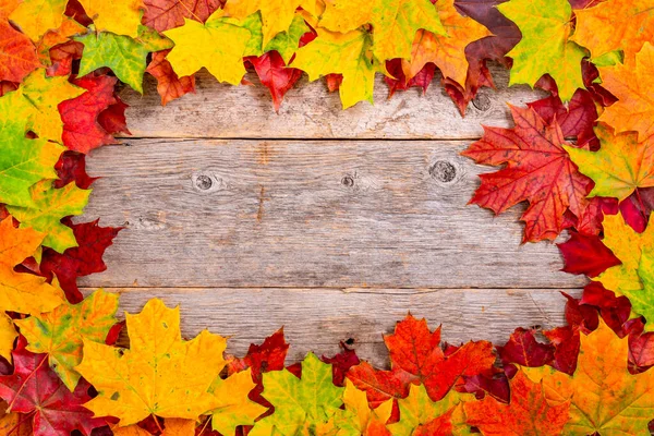 Bright Autumn Leaves Old Grunge Wooden Background Copy Space — Stock Photo, Image