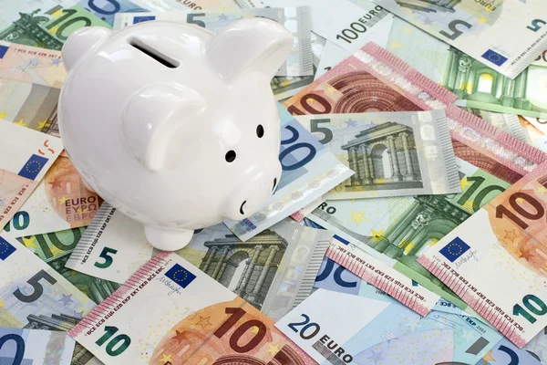 Piggy bank placed on Euro currency — Stock Photo, Image