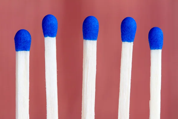 Partido de palos con cabezas azules — Foto de Stock