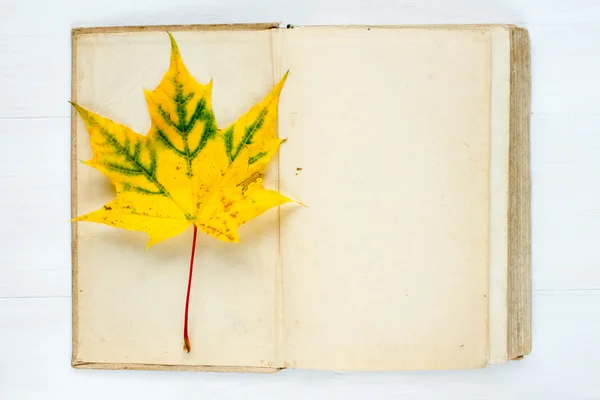 開いた本と紅葉カエデの葉 — ストック写真