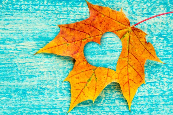 An autumn leaf with heart shaped cutout — Stock Photo, Image