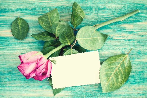 Puste karty z pozdrowieniami i suche róże — Zdjęcie stockowe