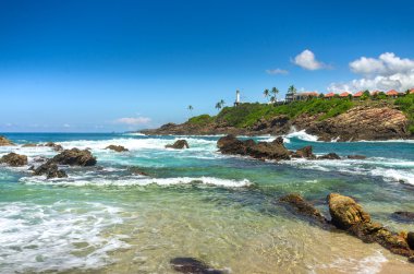 sri Lanka tropikal plaj