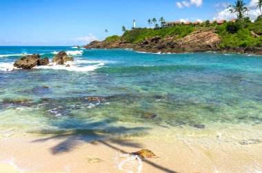 sri Lanka tropikal plaj