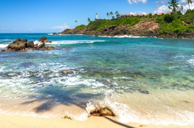 sri Lanka tropikal plaj