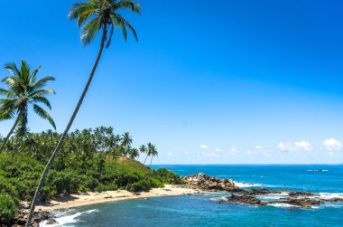 sri Lanka tropikal plaj