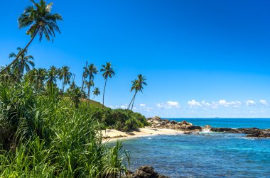 sri Lanka tropikal plaj