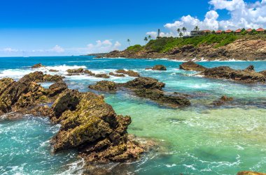 sri Lanka tropikal plaj