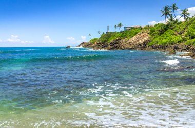 sri Lanka tropikal plaj