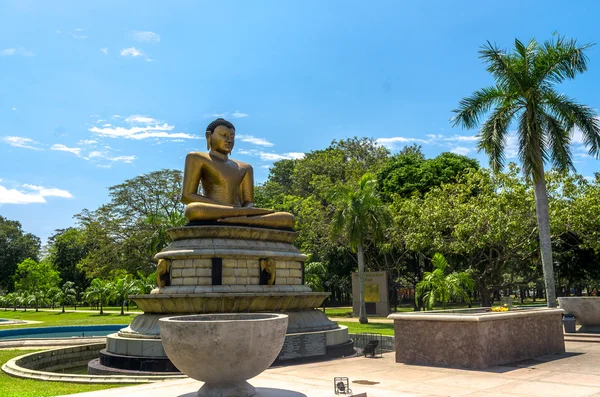 Colombo, Sri Lanka - luty 27,2015. Colombo city w budynku ratusza, w siedzibie Colombo i Viharamahadevi Park, największy i najstarszy park w serce Of Miasto Kolombo — Zdjęcie stockowe