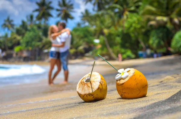 Kokosnuss an einem tropischen Strand in Sri Lanka lizenzfreie Stockbilder