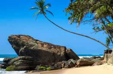 sri Lanka tropikal plaj