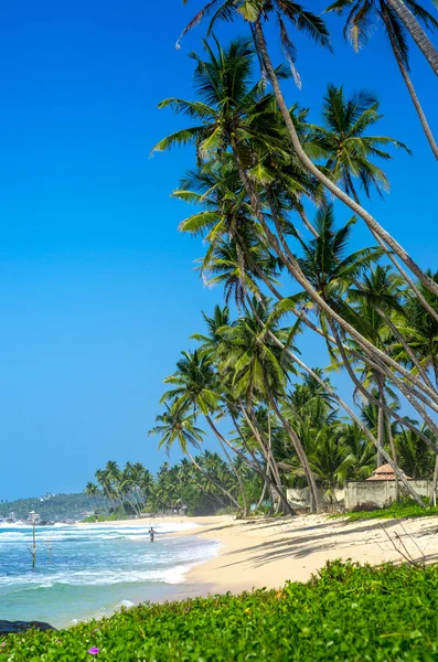 Tropikalnej plaży w sri lanka — Zdjęcie stockowe