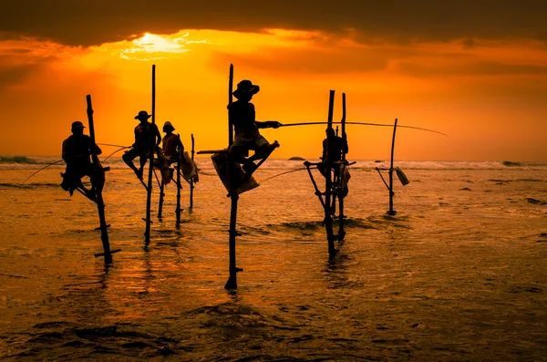 Pescadores tradicionais ao pôr do sol no Sri Lanka — Fotografia de Stock