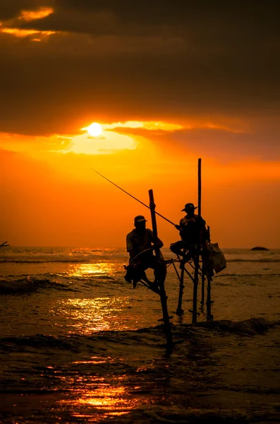 Pescadores tradicionais ao pôr do sol no Sri Lanka — Fotografia de Stock