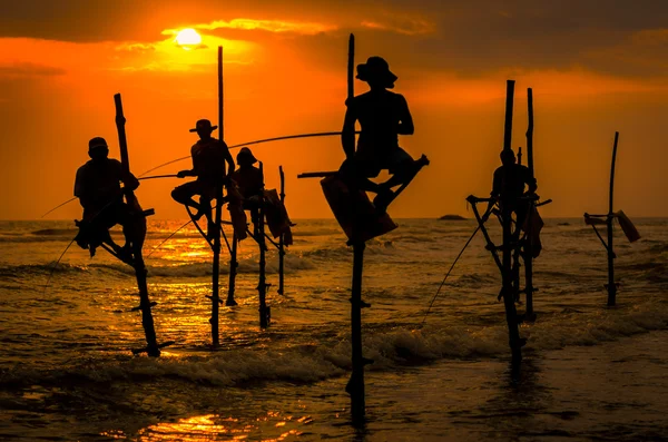 Traditionele vissers bij de zonsondergang in Sri Lanka — Stockfoto