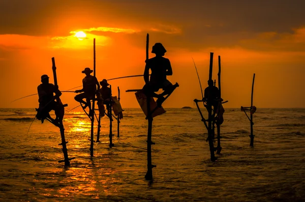 Traditionele vissers bij de zonsondergang in Sri Lanka — Stockfoto