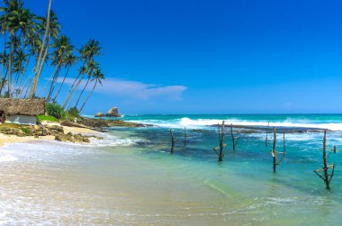 Tropikal plaj Kogalla Sri Lanka