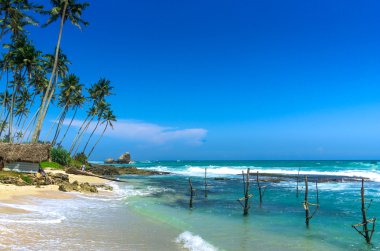 Tropikal plaj Kogalla Sri Lanka