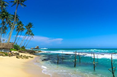 Tropikal plaj Kogalla Sri Lanka