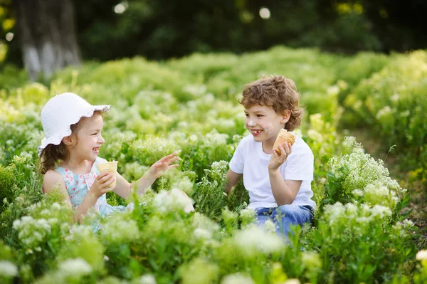 Los niños juegan juntos en el jardín —  Fotos de Stock